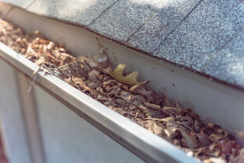 Clogged Gutters